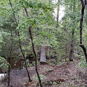 Dockside Bluff