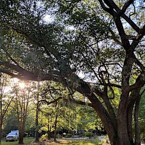 Man Cave RV Camp + Hookups