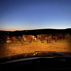 Mountain Top Getaways
