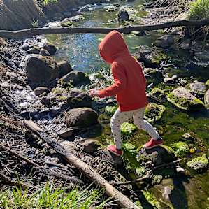 Beautiful creek