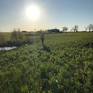 Bare Ass Acres