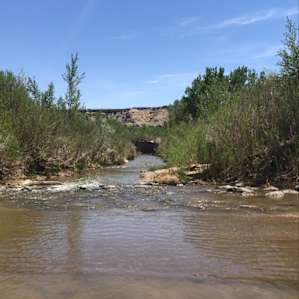Wild 'n Free at Blue Valley