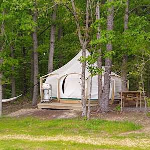 Lotus Belle Tent #1