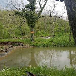 Hones Pointe Campground RV SITE