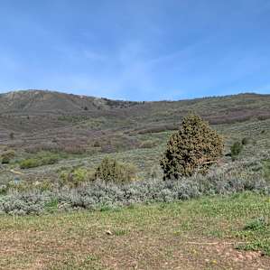 Retro Star Ranch - The Knoll