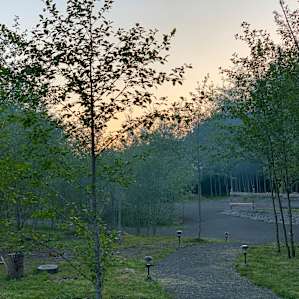 Hoh River Campsites