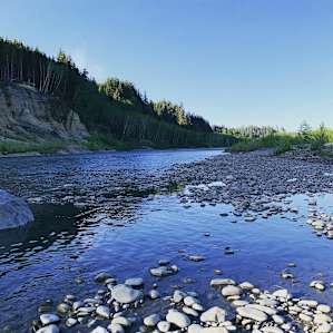 Hoh River Campsites