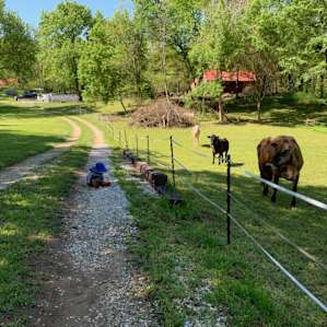 MoonLight Grove Farm