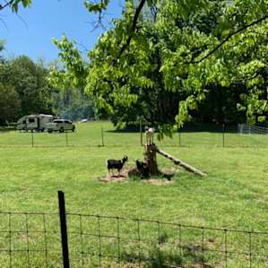 MoonLight Grove Farm