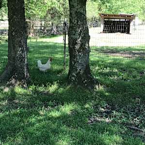 The Meadow Campsite
