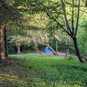 From the compost toilet area - there's space to put tents down closer to the treeline, and there's a space we used for the fire pit and cooking to the left. (The view of the house is taken from the fire pit area)