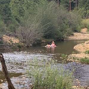 Wolf Creek Adventure Glamping