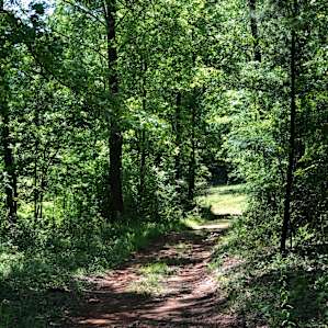 Trail near the pole barn.