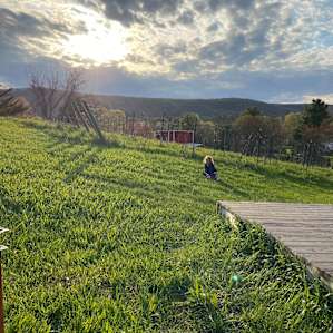 Vistas & Vines