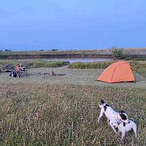 Rural Tent Camping
