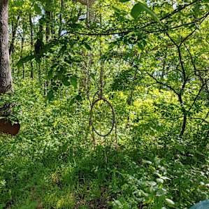 A Walk-in Campsite