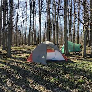Wooded area behind the tent.