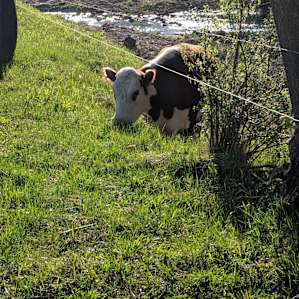 100 Acre Organic Farm