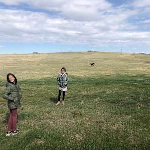 Chasing after Cheyenne, the sweet horse.