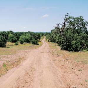 The dirt road leading to the ranch