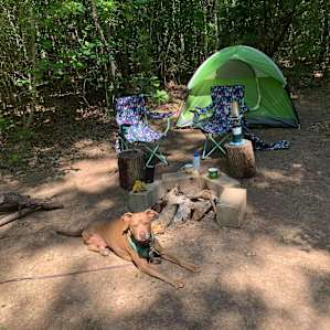 Ask Lynda/Ruston for the 'secluded' campsite- so quiet and lovely!