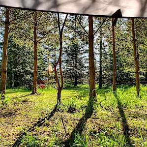 My morning view from the hammock