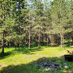 Overview of the campsite looking into the trees. Could put up a couple smaller tents in the covered area. Larger tents would need to be in the area in front of the picnic table