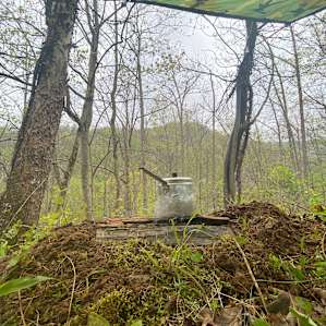 250 Acres Remote Forest w/ Trails