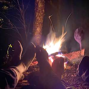250 Acres Remote Forest w/ Trails