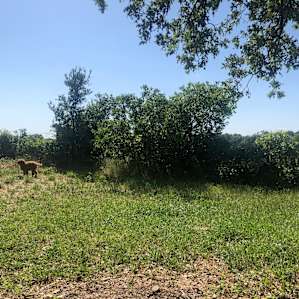 Coyote Creek Farm -Tent Camping