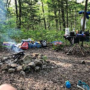 River Bluff Woods