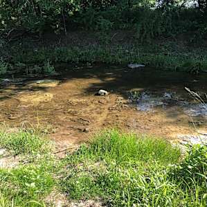Cabin on the Creek.Hico