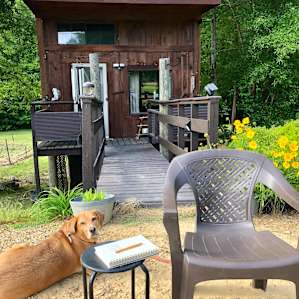 Tree House on the Pond