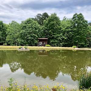 Tree House on the Pond