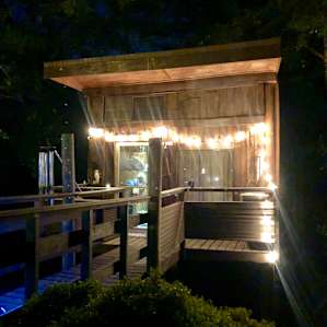 Tree House on the Pond