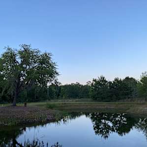 Wildflower Pond Site#2 Camper/RV