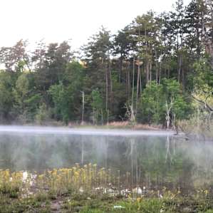 Norris Lake Front Rentals & Events