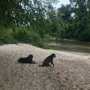Camp Topisaw Creekside Sandbar