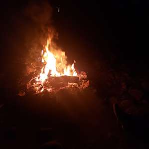 This wood was just a hand saw away from the fire pit!!