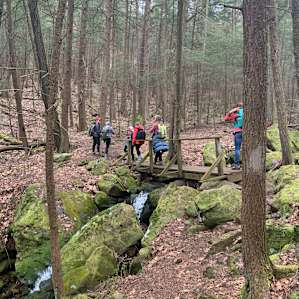 Little Mill Creek Campsite