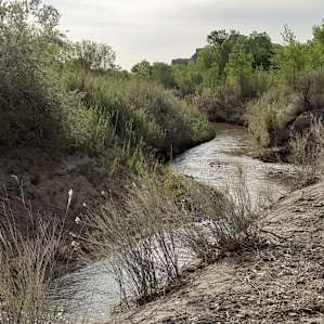 Wild 'n Free at Blue Valley