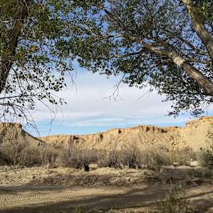 Wild 'n Free at Blue Valley
