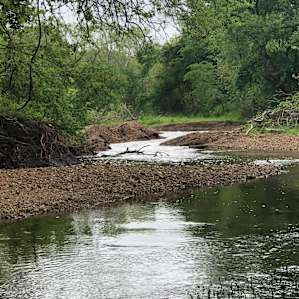 Campsites on Horse Ranch with Creek