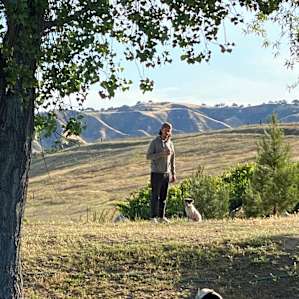 Vineyard Camping
