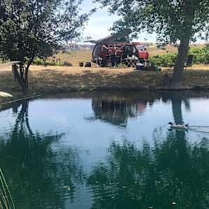 Vineyard Camping