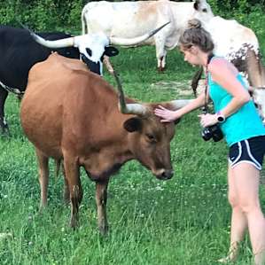 Springhorn Ranch