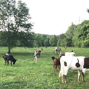 Springhorn Ranch