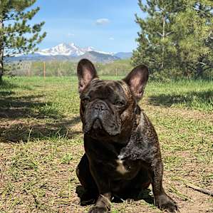 He approved of the view.