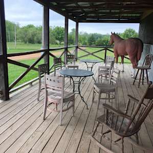 Nice deck to relax and catch up