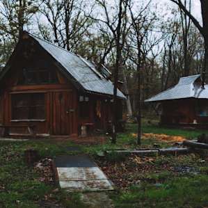 Fisher Cat Creek Forest Retreat